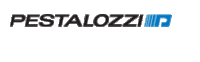 Logo_pestalozzi-fp-1295209958